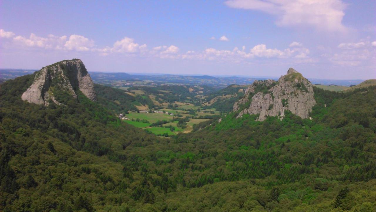 Tulipe, Appartement 5 Personnes, Entre Sancy Et Volcans D'Auvergne Orcival Eksteriør bilde