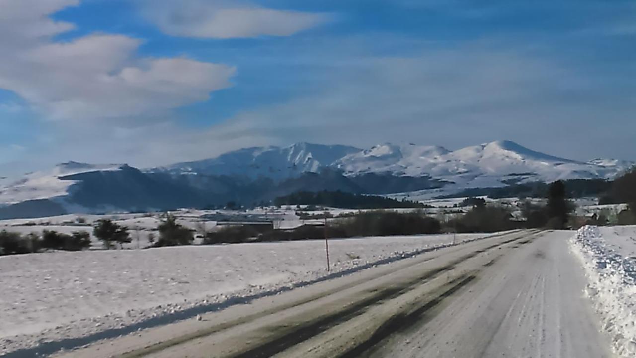 Tulipe, Appartement 5 Personnes, Entre Sancy Et Volcans D'Auvergne Orcival Eksteriør bilde
