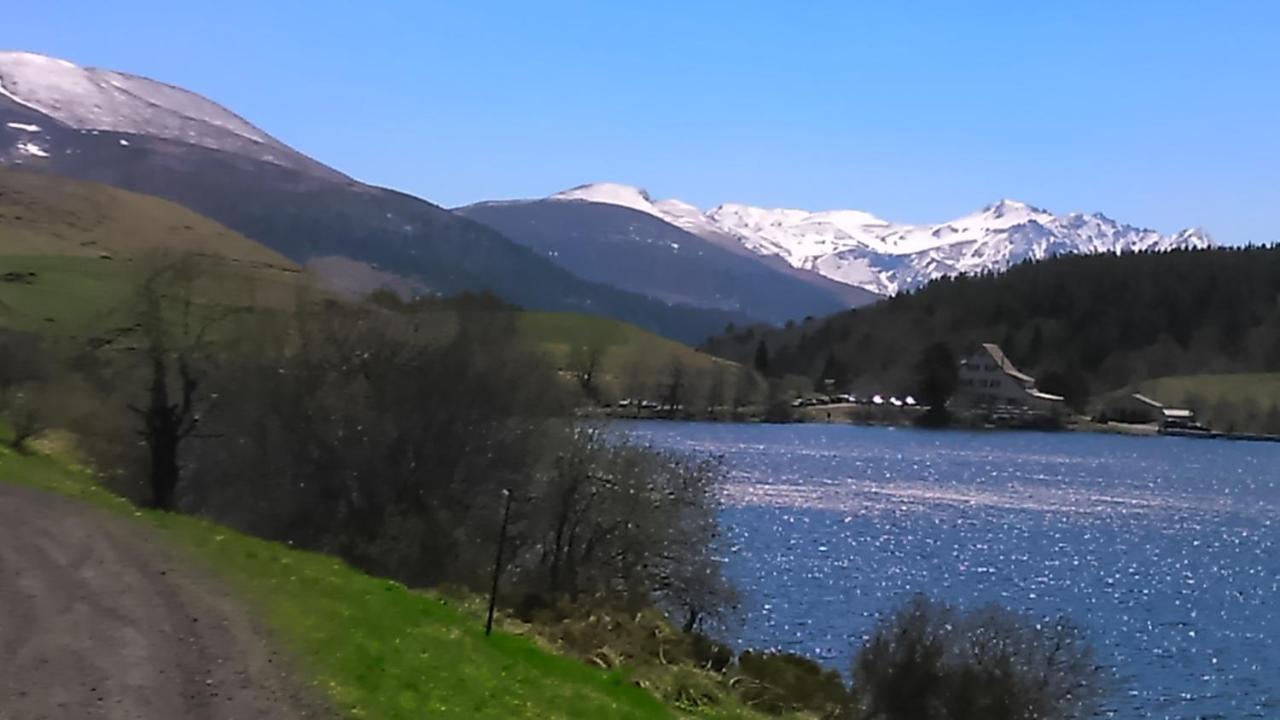Tulipe, Appartement 5 Personnes, Entre Sancy Et Volcans D'Auvergne Orcival Eksteriør bilde