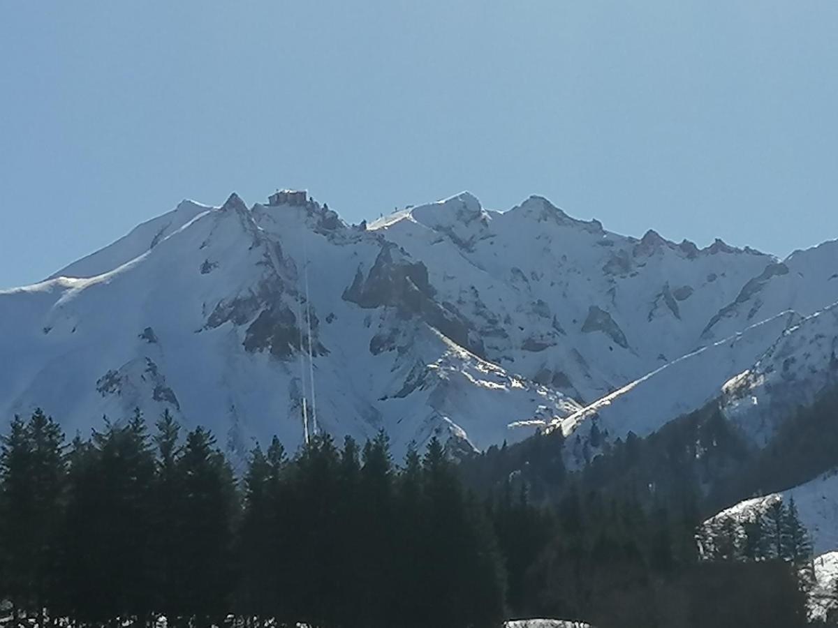 Tulipe, Appartement 5 Personnes, Entre Sancy Et Volcans D'Auvergne Orcival Eksteriør bilde