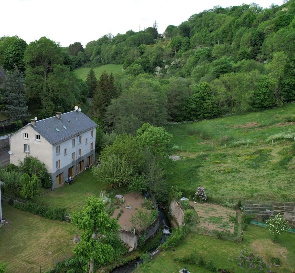 Tulipe, Appartement 5 Personnes, Entre Sancy Et Volcans D'Auvergne Orcival Eksteriør bilde