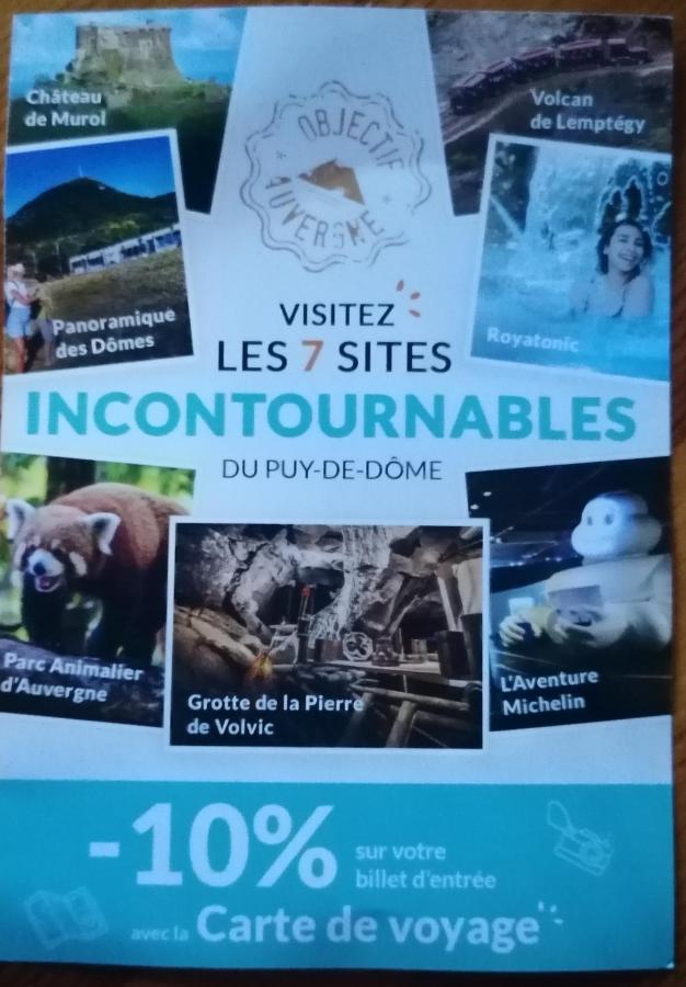 Tulipe, Appartement 5 Personnes, Entre Sancy Et Volcans D'Auvergne Orcival Eksteriør bilde