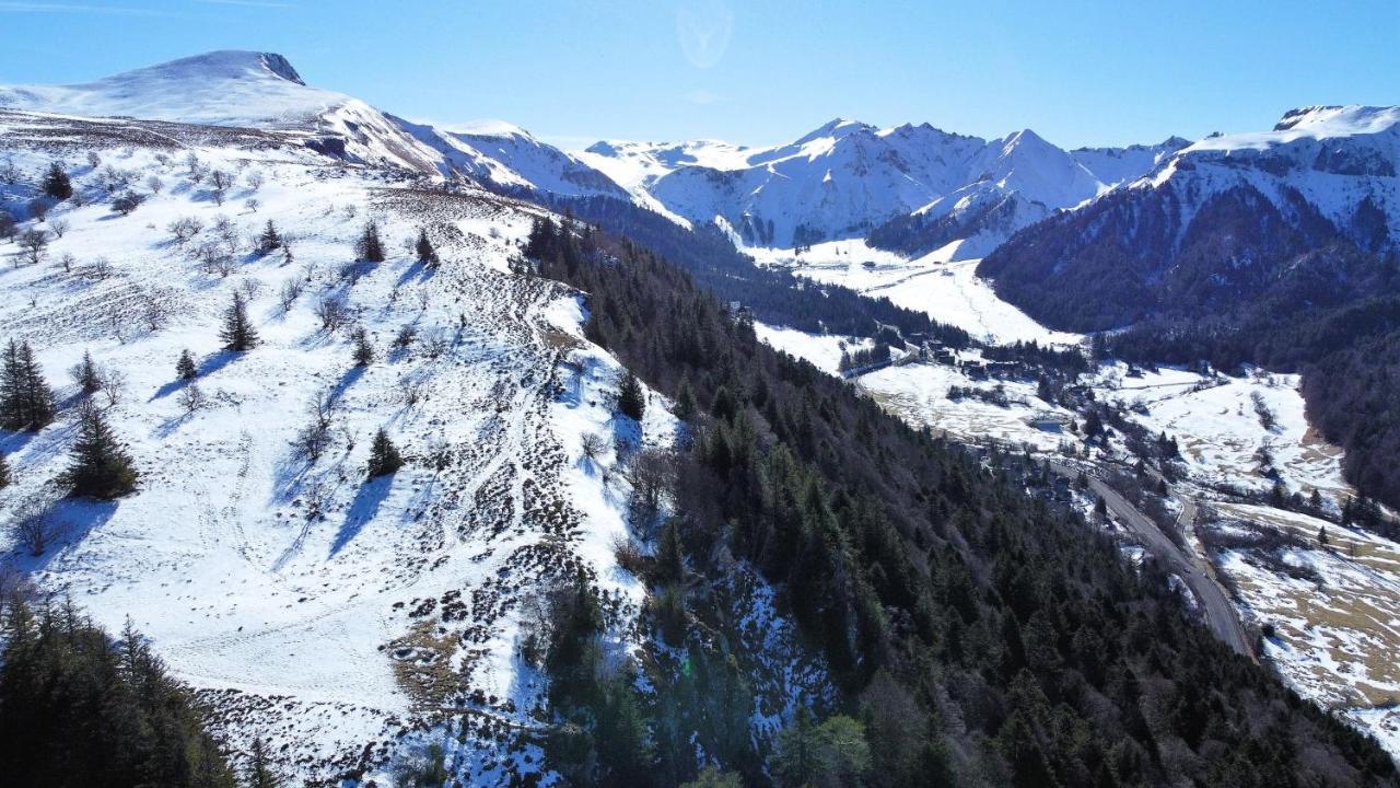 Tulipe, Appartement 5 Personnes, Entre Sancy Et Volcans D'Auvergne Orcival Eksteriør bilde