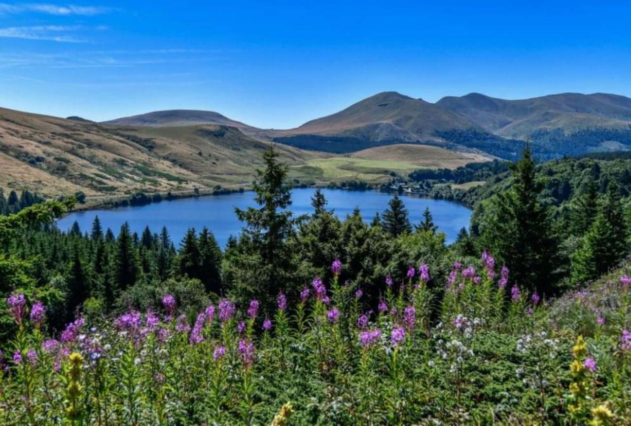 Tulipe, Appartement 5 Personnes, Entre Sancy Et Volcans D'Auvergne Orcival Eksteriør bilde