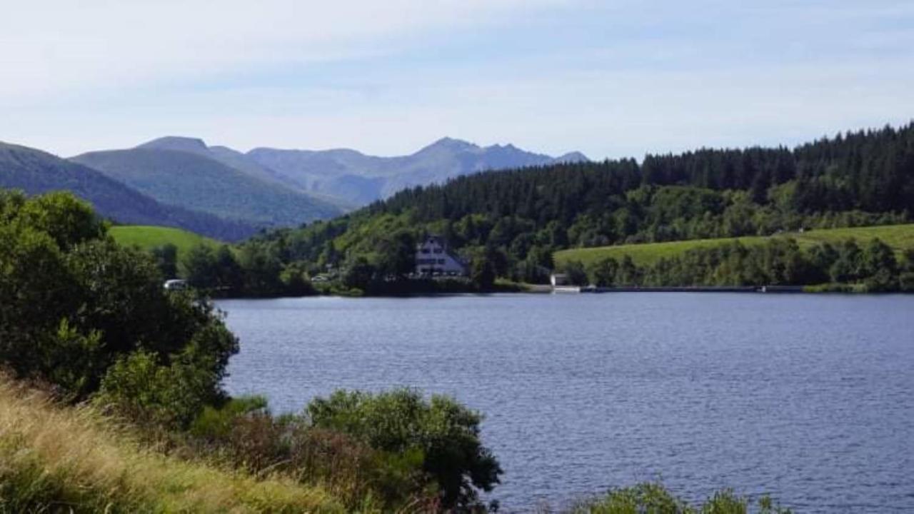 Tulipe, Appartement 5 Personnes, Entre Sancy Et Volcans D'Auvergne Orcival Eksteriør bilde